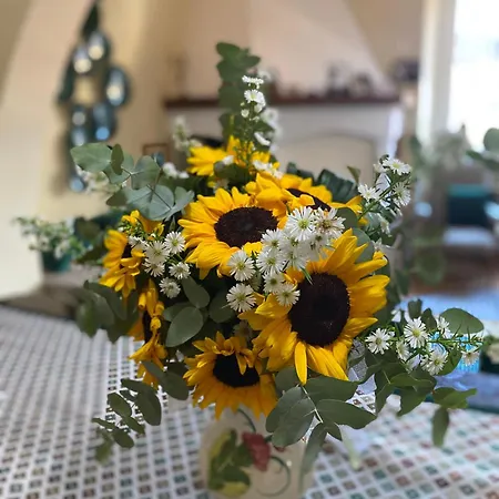 Pensión La Dimora Di Vienna 3*