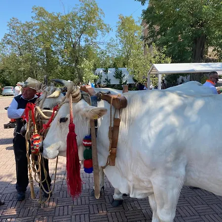 La Dimora Di Vienna 3* Casacanditella